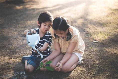 兄弟姐妹|兄弟姊妹